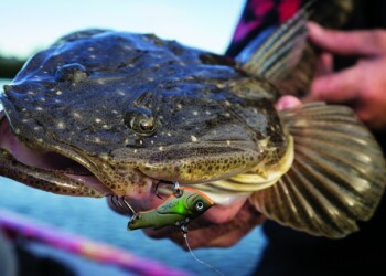 Fishing blades on the Parramatta River